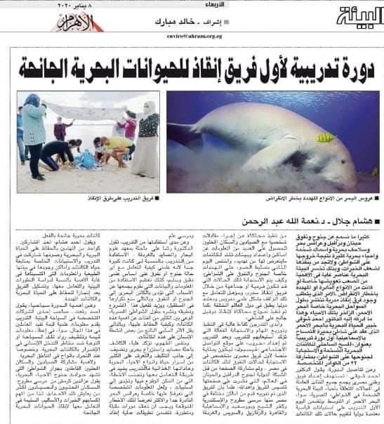 Ayten Nasr: (Awima Egypt) I have the honor to be among the first Egyptian team to save marine animals ... through the courses that took place in Ismailia, to end with it the year of 2019